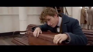 Fantastic Beasts and Where to Find Them TV Spot (2016) Warner Bros. Movie HD-fh42YXq7_k4