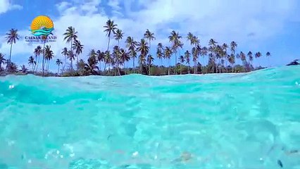 Caesar 30sec: جذب السياح الأجانب والعائلات الفاخرة 🌍