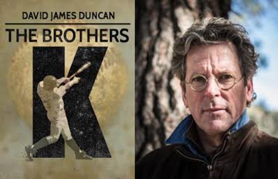 Novels Plot Summary 332: The Brothers K