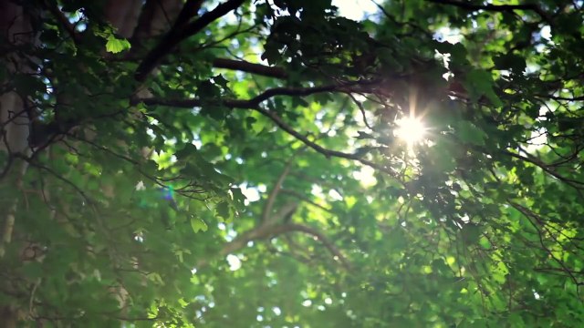 Flow by Plume Labs- Clean Air, Onwards — The smart mobile air quality tracker