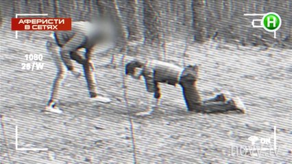 Вдвоем в лесу - Осторожно мошенники!