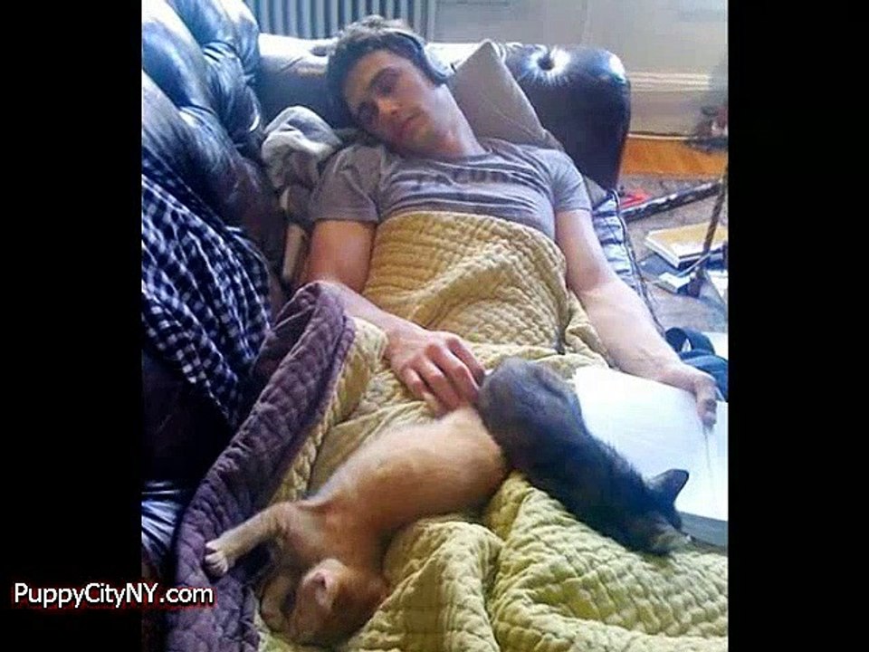 Celebrities in Bed With Pets!