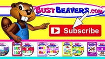 'Surfing the ABCs' _ Kids Catchy Alphabet Song, Early Childhood Education, Learn English ABCs-yG6RYbmAN5k