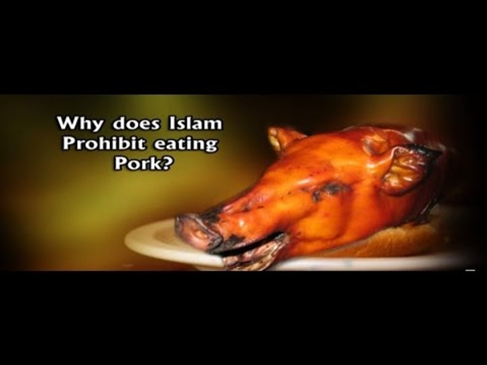 Why does Islam prohibit eating pork? video Dailymotion