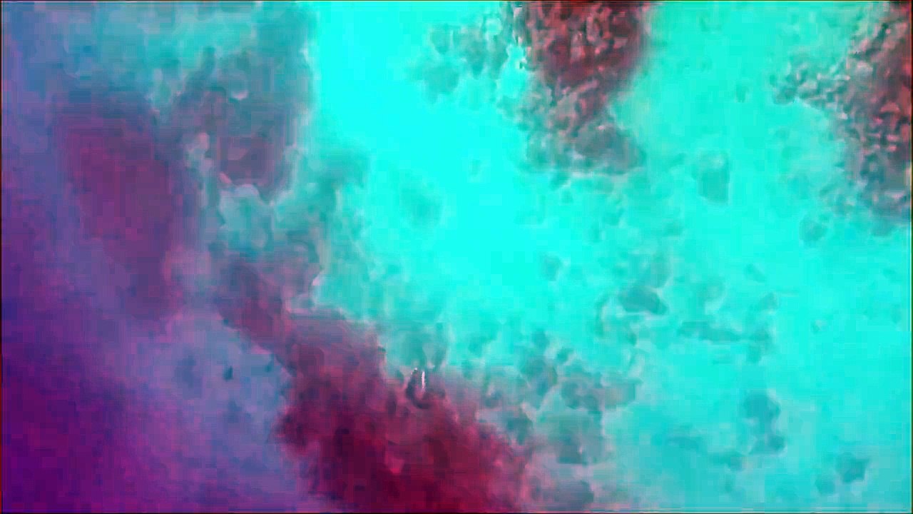 Un chasseur sous marin se fait attaquer par un requin bouledogue !