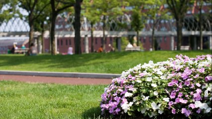 Green City Landscaping LLC - (614) 335-9461