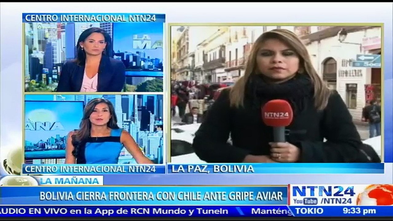Bolivia restringe el ingreso de productos avícolas en su frontera con Chile por riesgo de contagio de gripe aviar