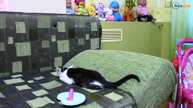 Ярослава играет с котенком. Видео для детей. Котенок Барсик - новый питомец Ярославы