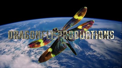 Canards et poissons 2016