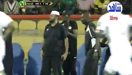 Tendai Ndoro Goal HD - Cameroon 0-1 Zimbabwe 10.01.2017