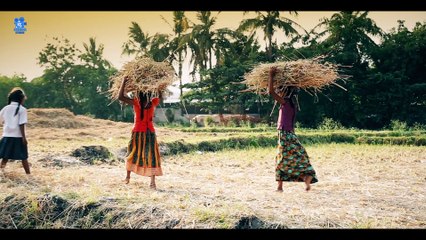 Neeru Neeru full video song from Khaidi No 150 | Tribute to great Farmers