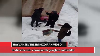 Kedi evine karşı çıkarak gençlere saldırdılar!