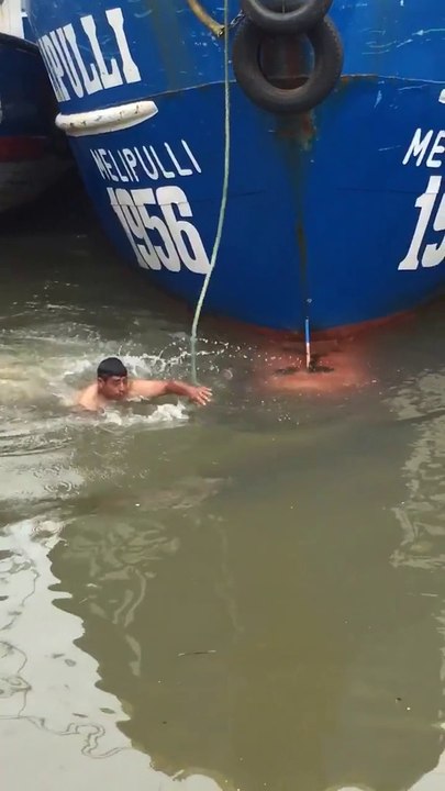 Ce marin courageux se jette à l'eau pour sauver un chaton au bord de la noyade