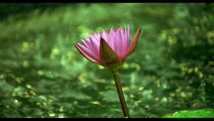 Embarquement immédiat pour... un dépaysement ! #IndiaFDI