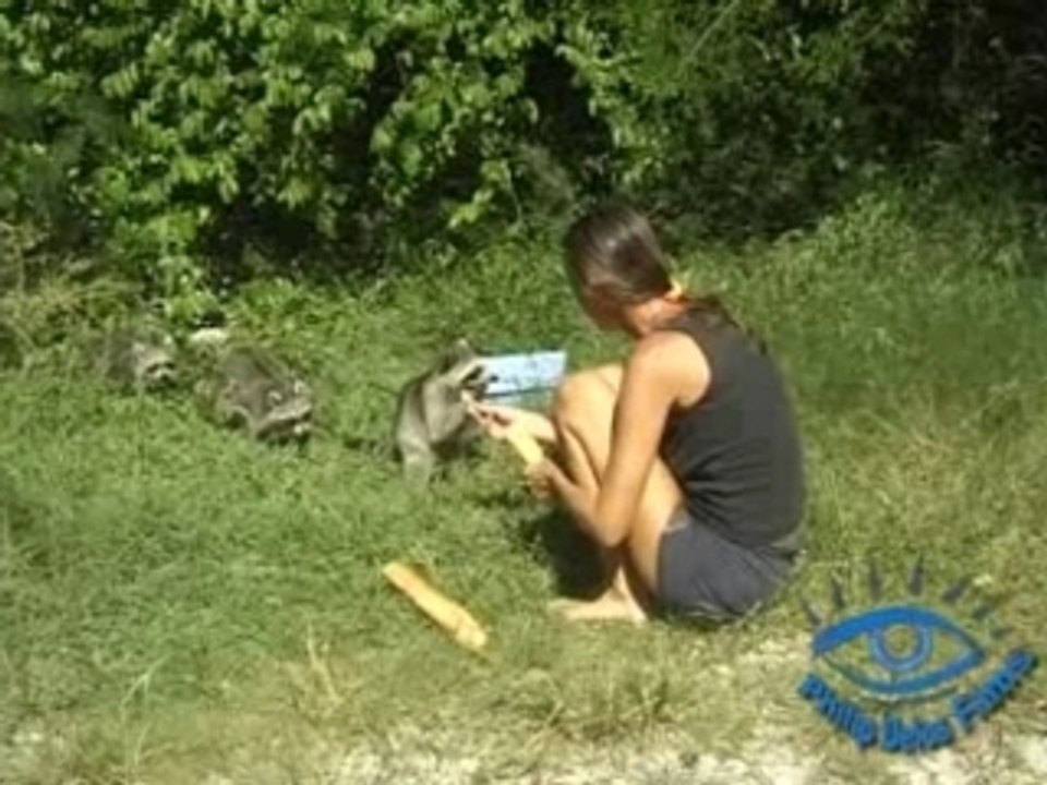 Racoons perchés: Part 3