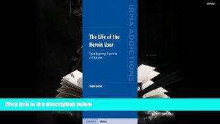 PDF  The Life of the Heroin User: Typical Beginnings, Trajectories and Outcomes (International