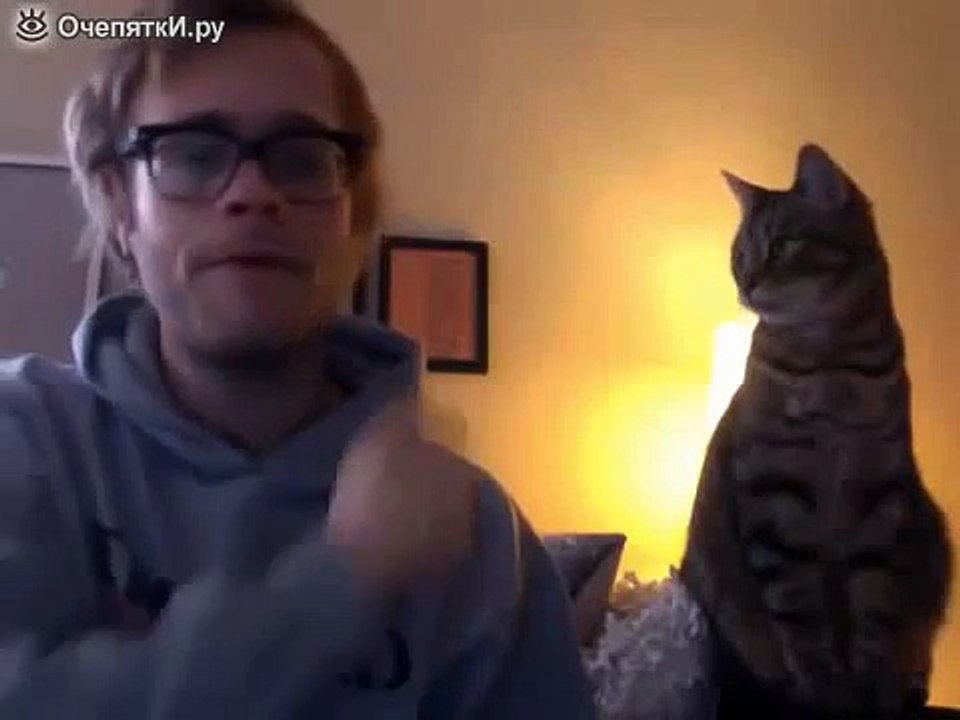 Реакция кота на глупую рожу хозяина