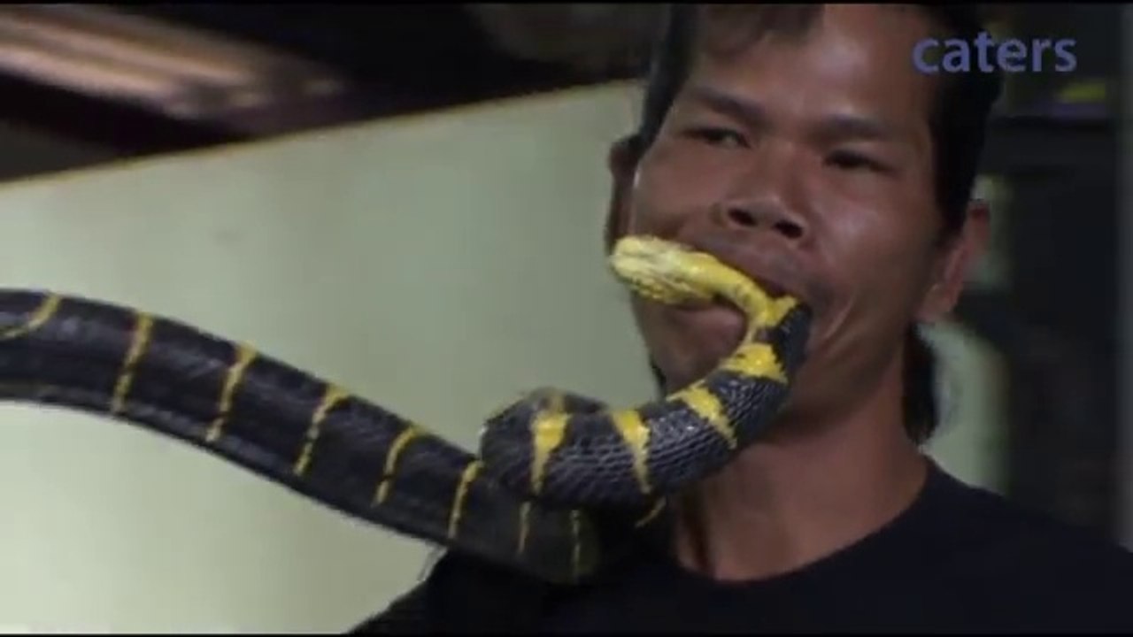Man Kissing and Bites Deadly Snake