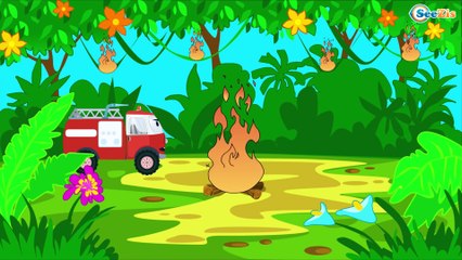 Crane | Car Wash | Kids Cartoon