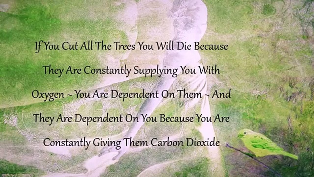 You Can Be Absolutely Free