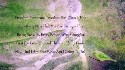 Freedom From And Freedom For