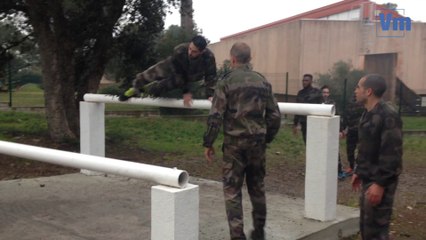 Entraînement musclé pour les handballeurs de Saint-Raphaël