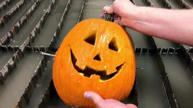 Carving a Pumpkin in Under 30 Seconds With A Waterjet - Pumpkin Carving Machine - Jack O Lantern