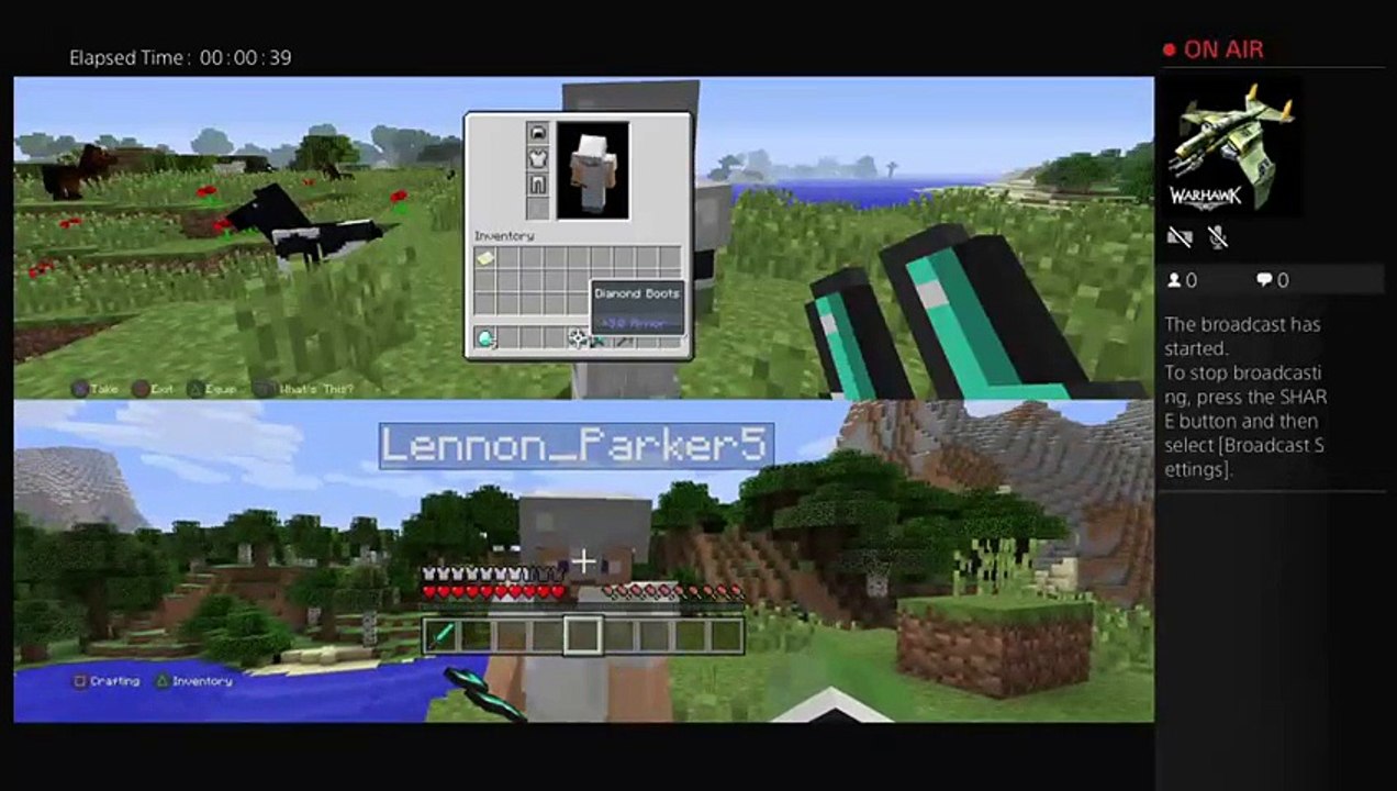 Minecraft join if u want (4)