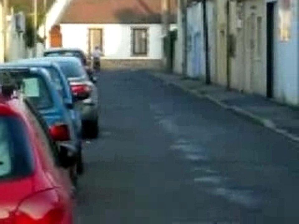 polini evo