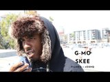 G-Mo Skee Hollywood Freestyle