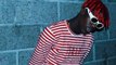 Lil Yachty Calls Ebro During Hate Rant