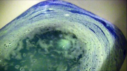 bat shit crazy color bomb