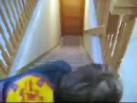 Смешное видео про животных до слез смотреть! ПОДПИШИСЬ на ЮМАРОК! Приколы с животными! #1