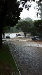 Light Summer's Rain Escalates Quickly