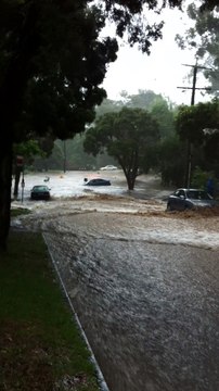 Light Summer's Rain Escalates Quickly