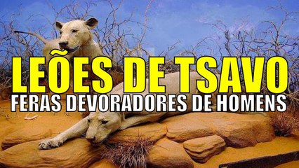 Feras devoradores de homens ( Leões de Tsavo)