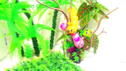 Teaching colors for kids - Learn colors with bug toys for children-r6EfPRDP8O0