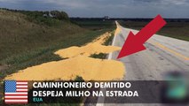 Caminhoneiro irritado despeja carga de milho depois de ser demitido por mensagem de tex