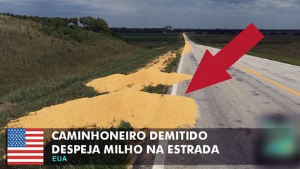 Caminhoneiro irritado despeja carga de milho depois de ser demitido por mensagem de tex