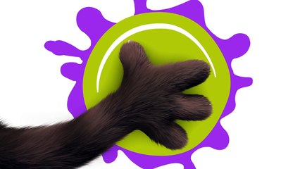 Talking Tom Gold Run - Build Your Dream House (Gameplay)-c1tIpW5lDLs