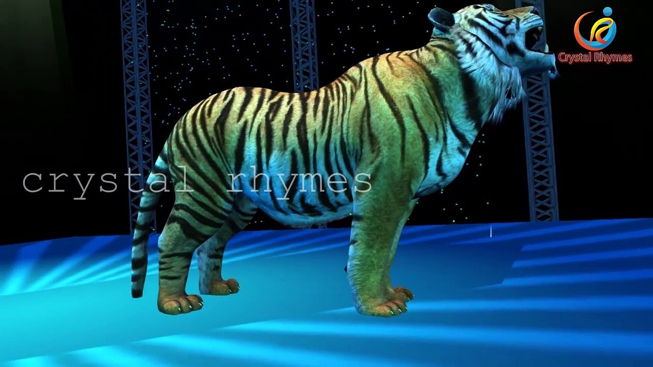 Wild Animals Finger Family 3d Animated Nursery Children English Rhymes
