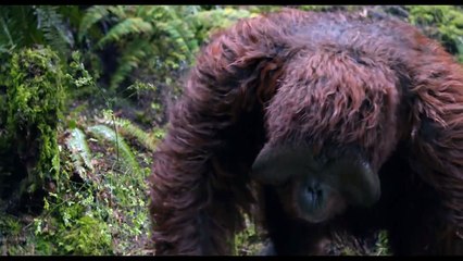 Planet der Affen - Revolution _ Wir hingen rum _ Clip Deutsch HD-dp5zLsuGxhY