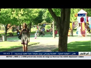 ريبورتاج: البدانة تحتل العالم.. مرض سهل التشخيص معقد العلاج