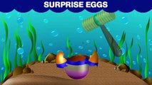 ORIGINAL SURPRISE EGGS- Ocean Animals - Kids Learning Animals