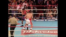 Watch Julio Cesar Chavez on Unimas Solo Boxeo _ Now on Friday!-pQFBlJk3CkU