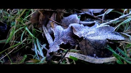Mysterious Side Of Church Farm (Lumix g7) 4k