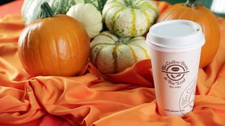 Which Coffee Chain Has The Best Pumpkin Spice Latte-8aoNbijd8sI