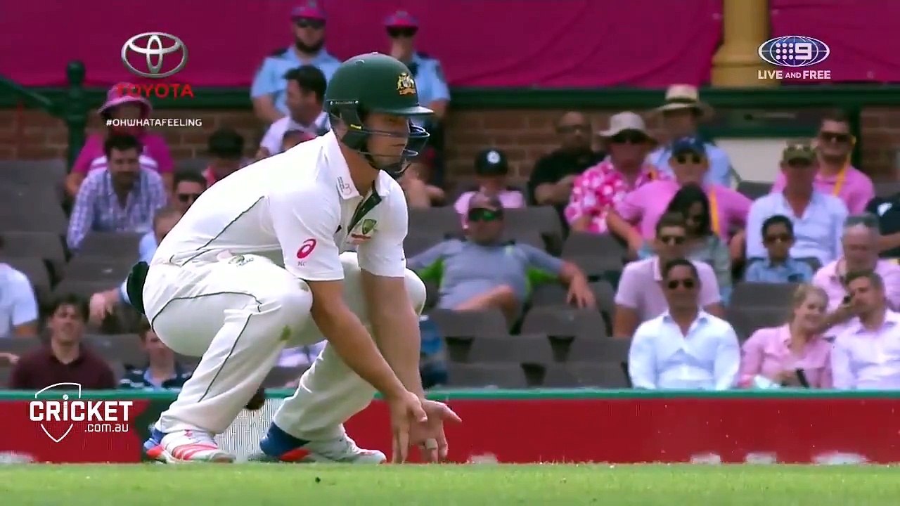 Me commentary on cricket nut shots
