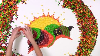 What Does 10 Lbs Of Skittles Organized By Color Look Like-ntv6zxZ2EbA