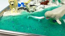 Learn Names Arctic Sea Animals Kids Children DIY Polar Bear Slime Kinetic Sand Mini Beach Ocean Snow